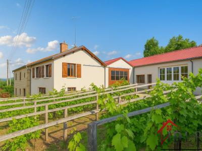 For sale Aigremont VILLARS-SAINT-MARCELLIN 10 rooms 258 m2 Haute marne (52400) photo 0