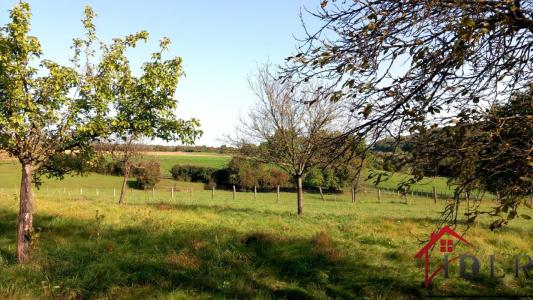 For sale Aigremont VILLARS-SAINT-MARCELLIN 10 rooms 258 m2 Haute marne (52400) photo 1