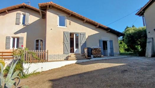 Annonce Vente 7 pices Maison Montfort-en-chalosse 40