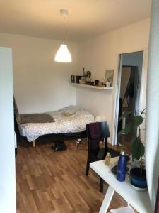 Louer Appartement 88 m2 Pessac