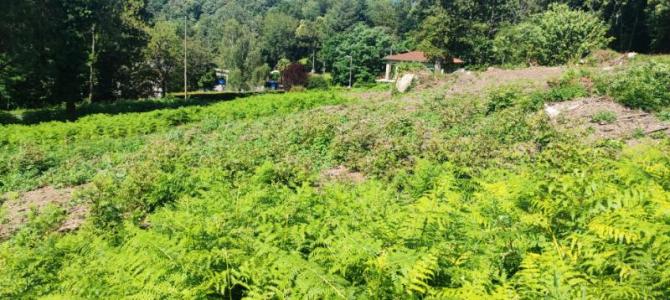 Acheter Terrain Saint-salvy-de-la-balme 30000 euros