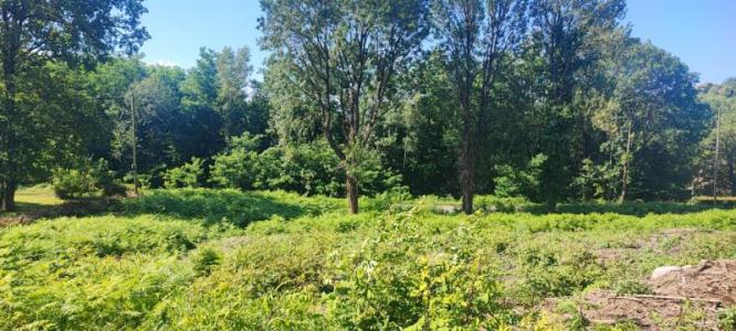 For sale Saint-salvy-de-la-balme 1121 m2 Tarn (81490) photo 1