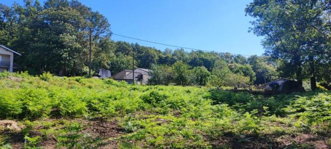For sale Saint-salvy-de-la-balme 1121 m2 Tarn (81490) photo 2