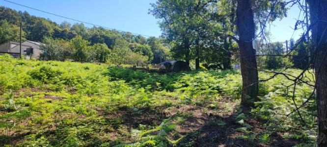 For sale Saint-salvy-de-la-balme 1121 m2 Tarn (81490) photo 3