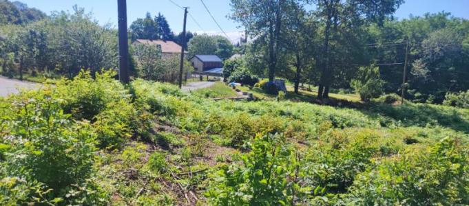 For sale Saint-salvy-de-la-balme 1121 m2 Tarn (81490) photo 4