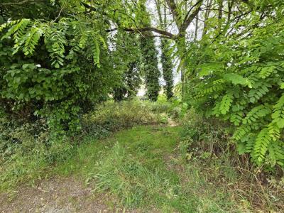 For sale Begles 493 m2 Gironde (33130) photo 0