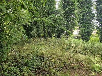 Annonce Vente Terrain Begles 33