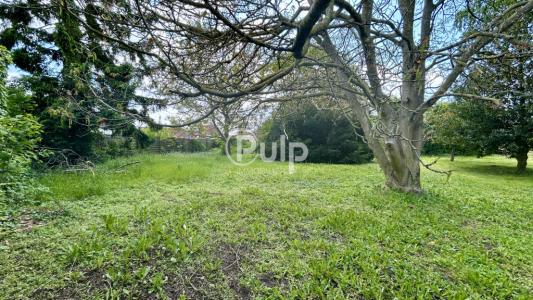 Annonce Vente Terrain Ostricourt 59