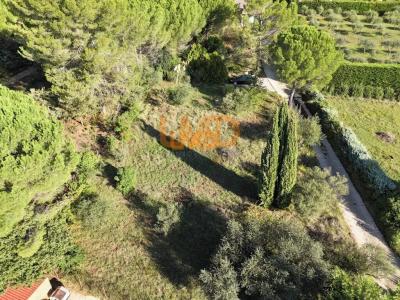 Annonce Vente Terrain Val 83