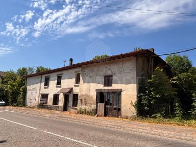 For sale Champier Champier 7 rooms 400 m2 Isere (38260) photo 2