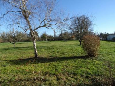 For sale Bussiere 4 rooms 110 m2 Loiret (45230) photo 3