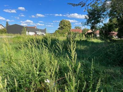 Acheter Terrain Saint-martin-en-bresse 46000 euros