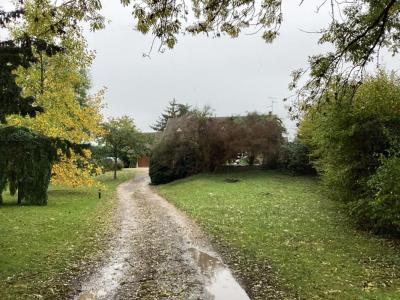 Acheter Terrain Saint-loup-de-varennes 81000 euros