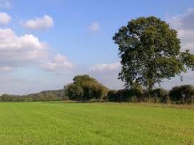 For sale Decines-charpieu 500 m2 Rhone (69150) photo 0