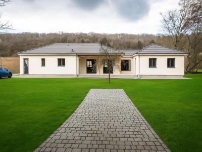 For sale Plivot 110 m2 Marne (51150) photo 0