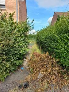 Acheter Maison 71 m2 Noyelles-sous-lens