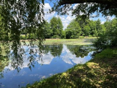 Annonce Vente 4 pices Maison Civray 86