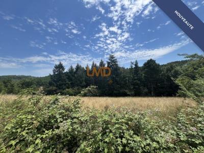 For sale Mercuer 4698 m2 Ardeche (07200) photo 1