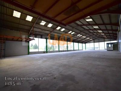 Acheter Bureau 1185 m2 Salles-curan