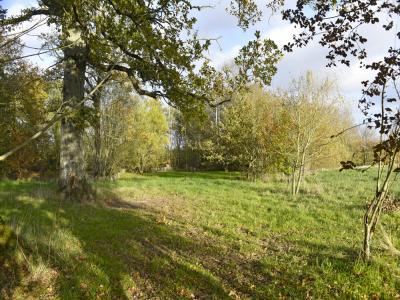 Annonce Vente Terrain Saint-mars-du-desert 44