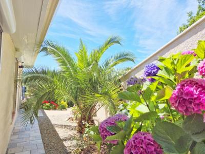 Annonce Vente 6 pices Maison Saint-vincent-d'olargues 34