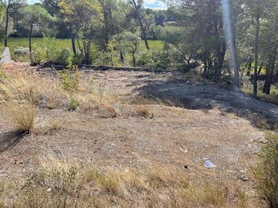 For sale Rieux-minervois 1500 m2 Aude (11160) photo 1