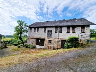 Acheter Maison 245 m2 Brignac-la-plaine
