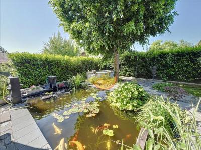 Annonce Vente Prestige Saint-nectaire 63