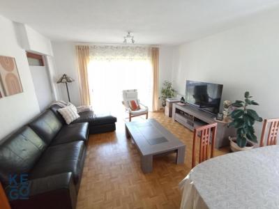 Annonce Location 4 pices Appartement Geispolsheim 67