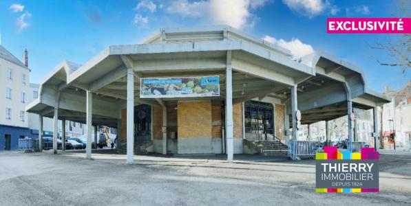 For sale Nantes 339 m2 Loire atlantique (44000) photo 0