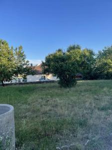 Acheter Terrain Breuil 38000 euros