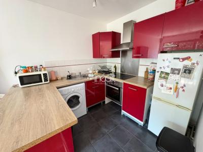 Annonce Location 2 pices Appartement Lille 59