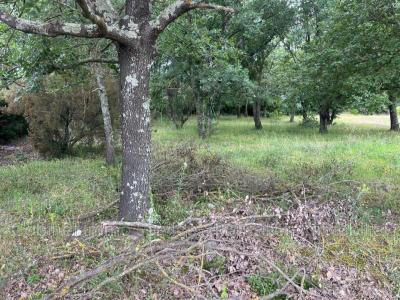 For sale Maureillas-las-illas 503 m2 Pyrenees orientales (66480) photo 0