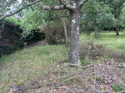 For sale Maureillas-las-illas 503 m2 Pyrenees orientales (66480) photo 1