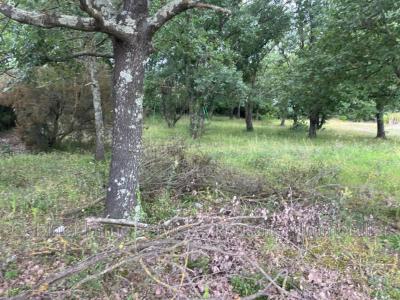 For sale Maureillas-las-illas 503 m2 Pyrenees orientales (66480) photo 2