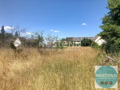 Acheter Maison Vineuil 71500 euros