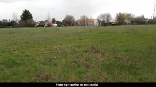 For sale Avrille Vendee (85440) photo 1