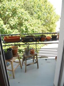 Annonce Location 3 pices Appartement Nantes 44