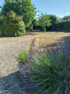 Acheter Maison  175500 euros