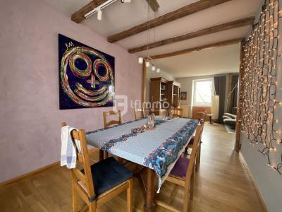 Acheter Maison Mulhouse 318000 euros