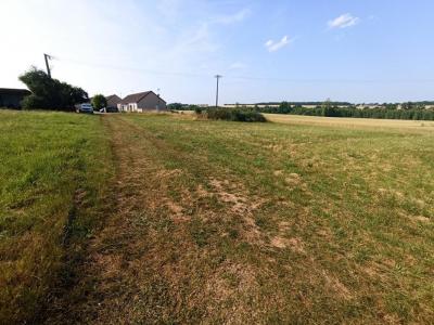 Annonce Vente Terrain Saint-lactencin 36