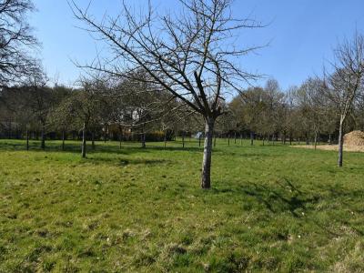 For sale Hauville Eure (27350) photo 3
