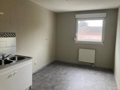 Annonce Location 3 pices Appartement Saverne 67