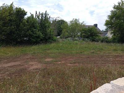 Annonce Vente Terrain Moelan-sur-mer 29
