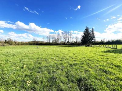 For sale Macon 2178 m2 Saone et loire (71000) photo 0