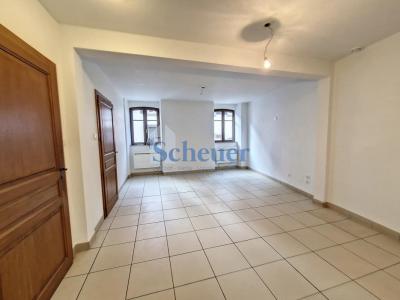 Annonce Location 2 pices Appartement Molsheim 67