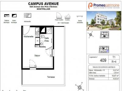 Annonce Location Appartement Montpellier 34