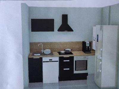 For rent Lille 2 rooms 45 m2 Nord (59000) photo 1