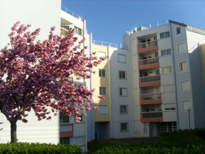 For sale Reze 3 rooms 67 m2 Loire atlantique (44400) photo 0