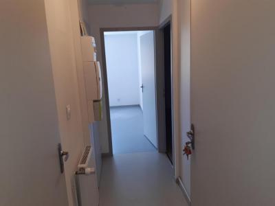 Annonce Location 2 pices Appartement Melisey 70
